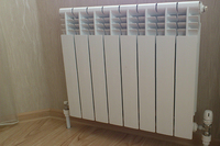 Kostesh_radiator