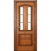 Dveri-newdoor14