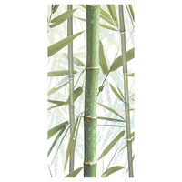 Bamboo_3