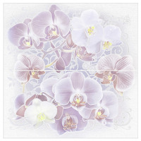 Orchids_panno